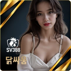 닭싸움
