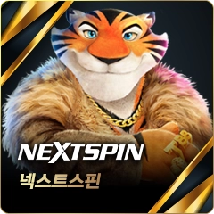 넥스트스핀 슬롯